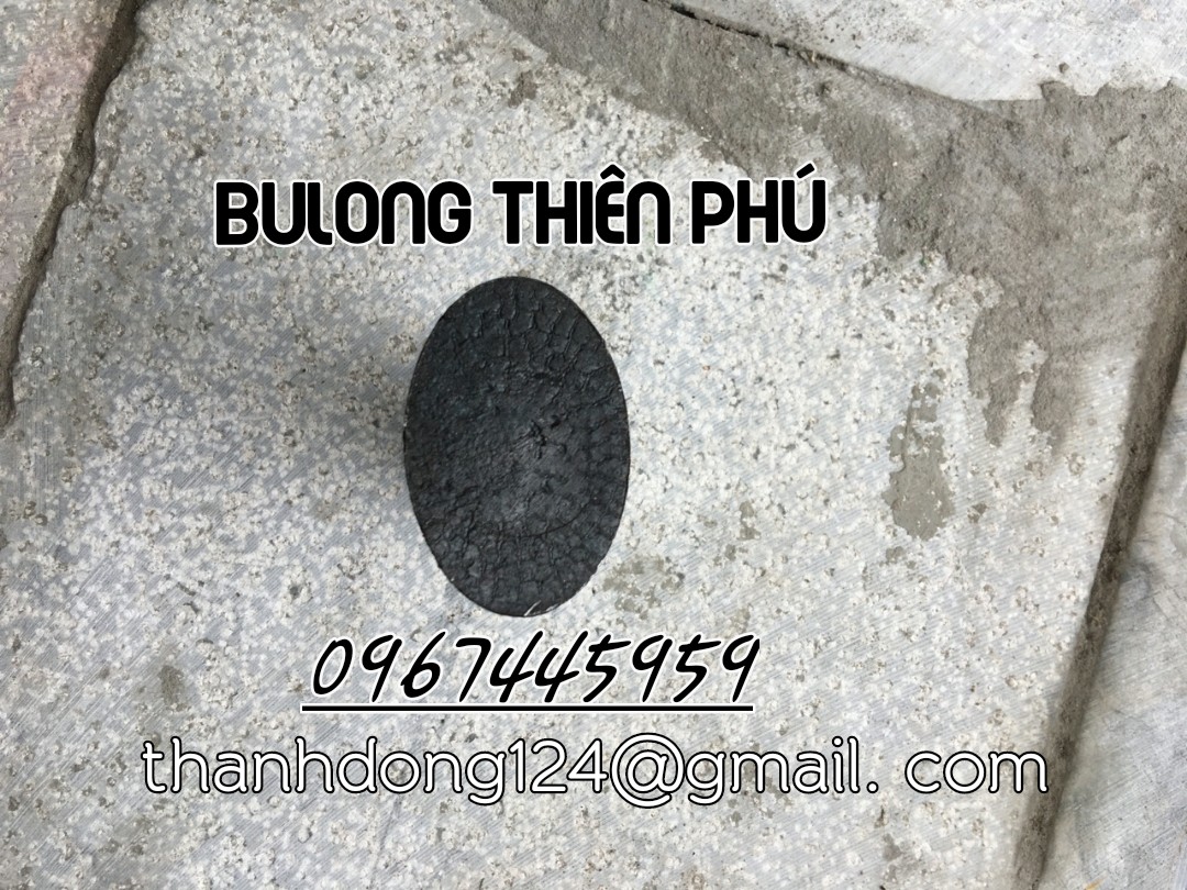 BULONG QUẢ BÀNG V3